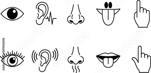Five senses icons, sight hearing smell taste touch, sensory perception illustration, educational design artwork, black and white symbol set, human sensory concept