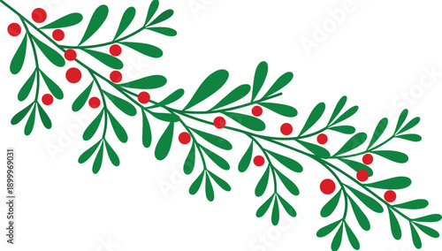 Mistletoe branch with green leaves and red berries plant