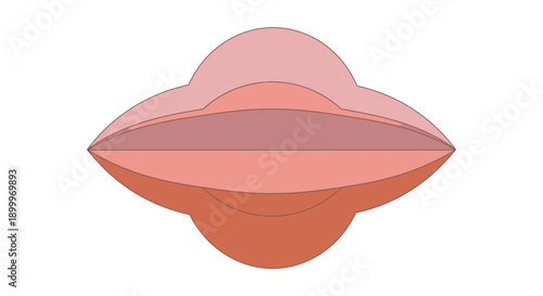 Symmetrical Abstract Layered Geometric Shape Illustration in Soft Pink and Coral Tones. Minimalist Design Element.