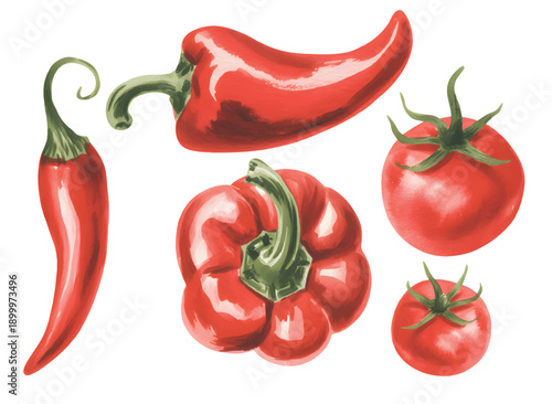 Fresh Organic Beetroot Watercolor Botanical Illustration for Kitchen, Cooking, and Nutrition Themes