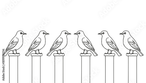 Seagulls perched on poles line drawing birds illustration vector black and white