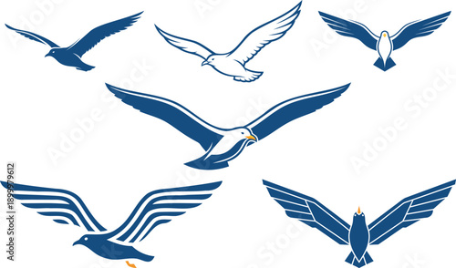 Set of Diverse Bird Silhouettes in Various Poses and Flight Actions on a White Background