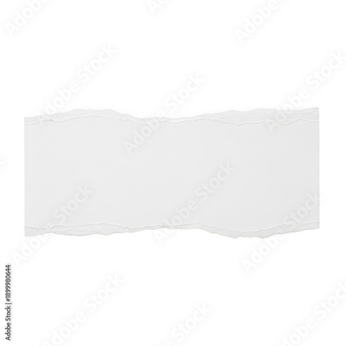 Wallpaper Mural Torn white paper strip with rough edges isolated on transparent background Torontodigital.ca