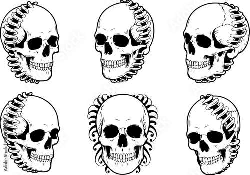 Royal Skull Emblem Vector Set with Crowns and Laurel Wreaths
