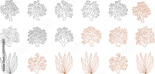 Minimal coral reef vector set featuring hand drawn sea coral silhouettes, organic marine elements, line art icons collection