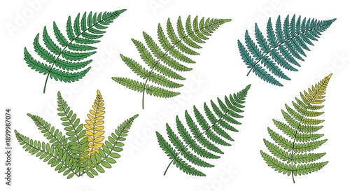 Adobe Illustrator Artwork