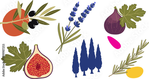 Vibrant Mediterranean Harvest Collection: Ripe Figs, Olives, Lavender, Rosemary, and Cypress Trees Evoking Summer Abundance and Rustic Charm