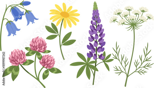 A charming collection of diverse wildflowers including bluebells, clover, daisies, lupines, and Queen Anne's lace, rendered in a delightful illustrative style on a clean white background.
