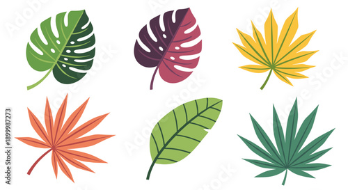 Collection of diverse tropical and exotic plant leaves in vibrant colors, showcasing natural beauty and botanical variety for design and decoration.