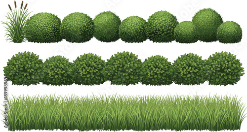 WebSet of green garden shrubs round bushes and long grass borders isolated on white background for landscape design architectural park vector illustration elements