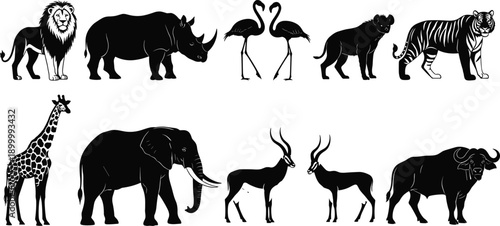 African wild animal silhouettes set including lion elephant giraffe tiger rhino flamingo antelope buffalo, black white vector illustration