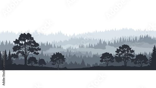 Expansive forest panorama featuring layered tree silhouettes in a tranquil, gradient mist effect creating a profound natural depth