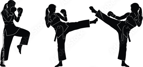 Female karate martial arts silhouettes performing high kicks, self defense training poses, combat sports action, strength balance flexibility concept, vector illustration