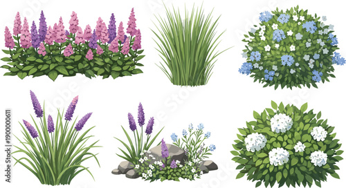 Garden plants and flowering shrubs illustration set, isolated on white background, representing landscaping elements, decorative foliage, botanical design, outdoor greenery, and natural garden 