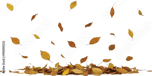 Autumn leaves falling in a gentle cascade onto a pile below, isolated on a white background.
