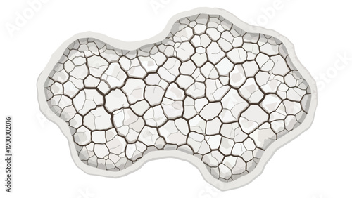 Vector artwork displaying parched, cracked earth surface, symbolizing severe drought and environmental degradation