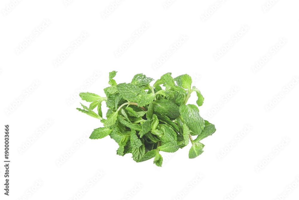 Fototapeta premium Fresh Picked Mint Leaves from Yunnan - Edible Herbs