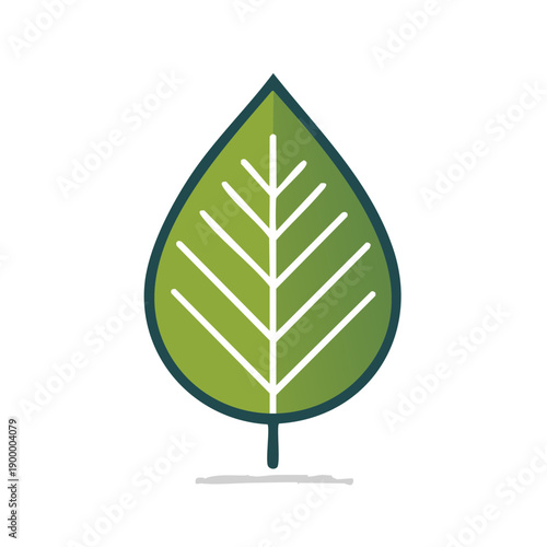 Stylized green leaf with veins and dark outline on a clean background representing nature growth and freshness