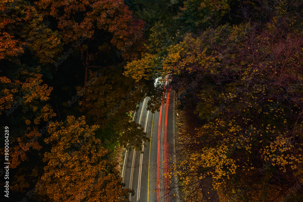 Obraz premium Light Trails of Cars with Autumn Foliage in Toronto, Ontario, Canada