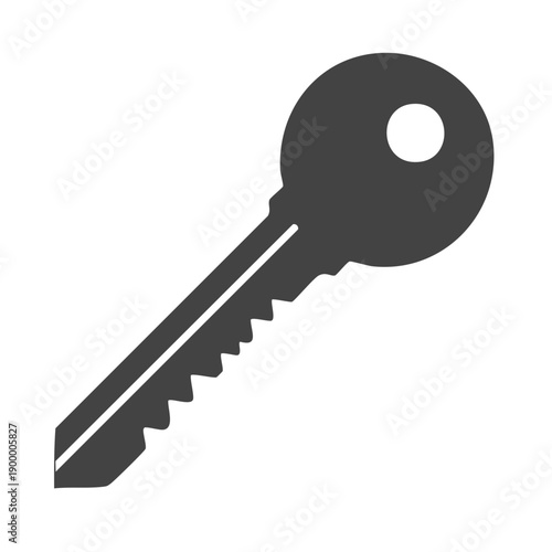 Single Metal Key Silhouette on White Background for Security and Access Concepts