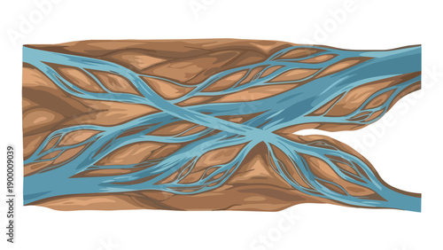 Dynamic braided river system illustration showcasing intricate hydrological patterns across an earthy landscape