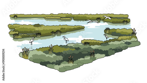 Illustrative depiction of a thriving wetland ecosystem with diverse avian wildlife