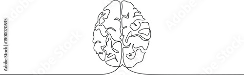 Intricate illustration of the human brain showcasing its complex neural pathways and structures Vector