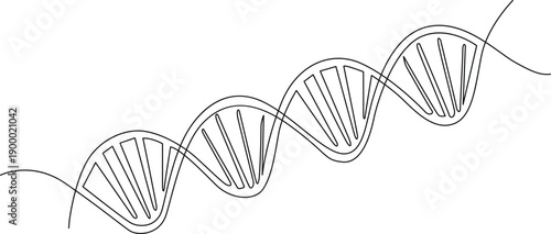 A detailed illustration of a dna double helix structure with dotted lines Vector