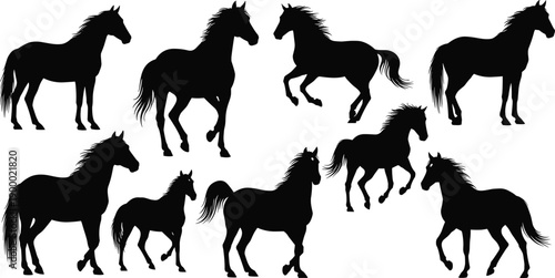 Horse silhouette illustrations in various poses and orientations showcasing dynamic movement, graceful anatomy, and equine form for design, education, or artistic reference