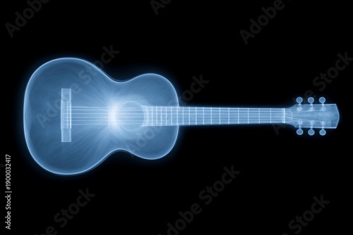 Guitar outline with internal details