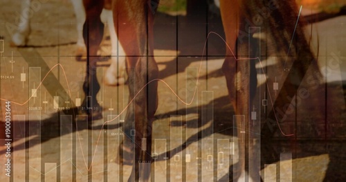 Galloping horse legs and hooves casting long shadows on sunlit pavement, financial overlay blending