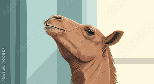 Detailed portrait of a camel's head looking upwards against a muted background