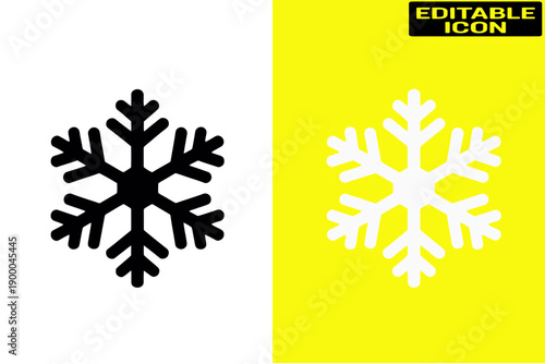 Two distinct snowflake designs against a split background of white and black Vector
