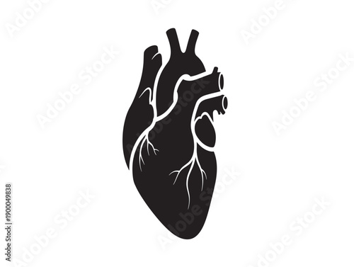 Minimalist black heart with detailed vascular structure
