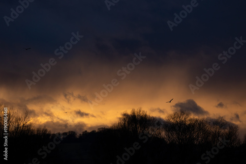 Birds flying in stormy skies at sunset