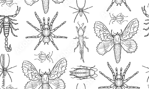 Seamless black and white pattern of insects, moths and beetle hand drawn. Outline illustration of various bugs for background, wallpaper. Spider and scorpion monochrome repeat textile design.