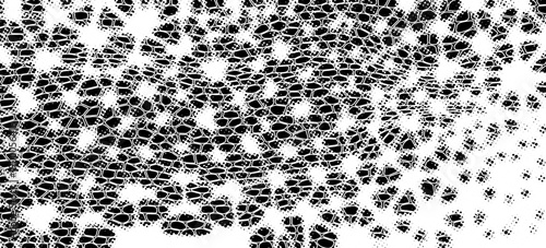 Snakeskin pattern imitation. Lines and spots structural texture. Cool and artsy faux leather background. Abstract vector illustration. Black isolated on white. EPS10
