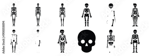 Minimalist black silhouette icon set of a skeleton model . simple black flat vector style for medical and fitness icons concept.