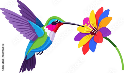 Colorful hummingbird hovering near a bright multi-colored flower