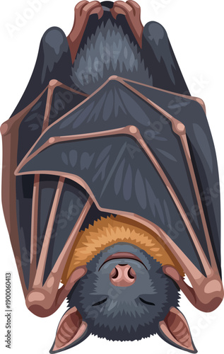 Fruit bat hanging upside down with folded wings