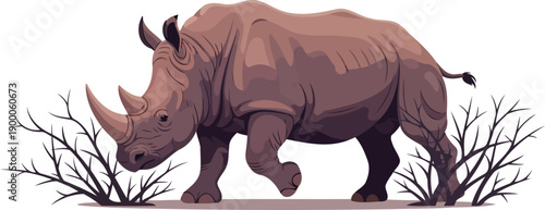 Heavy rhinoceros walking through dry savanna thicket