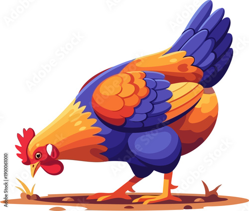 Multicolored hen pecking for food on the ground farm vector