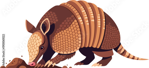 Nine-banded armadillo digging in the dirt with its armored shell