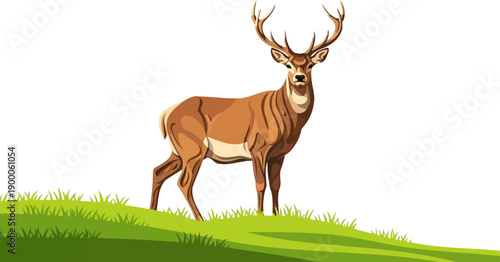 Noble red deer stag with antlers standing on grassy hill
