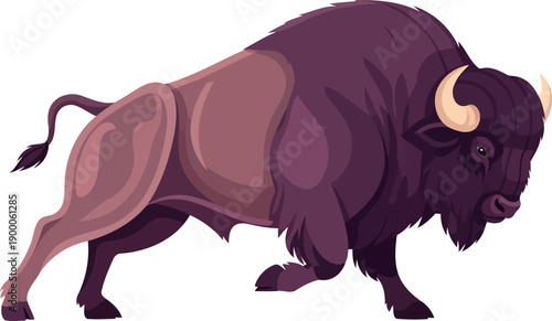 Powerful american bison walking with a muscular build and sharp horns