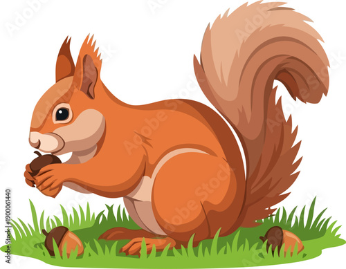 Red squirrel sitting on green grass holding a brown acorn