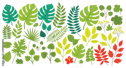 Various illustrated leaves in shades of green, red, and yellow, including monstera, fern, and clover, scattered on a white background. Bright and lively.