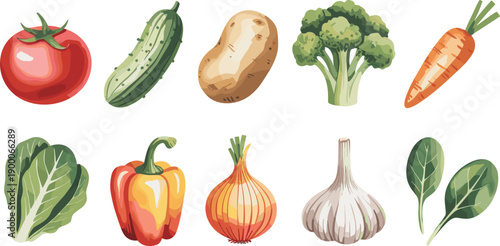 Fresh vegetables vector illustration set. Tomato, cucumber, potato, broccoli and leafy greens. Colorful healthy food icons collection for cooking, nutrition and design projects.