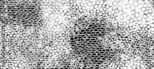 Snakeskin pattern imitation. Lines and spots structural texture. Cool and artsy faux leather background. Abstract vector illustration. Black isolated on white. EPS10