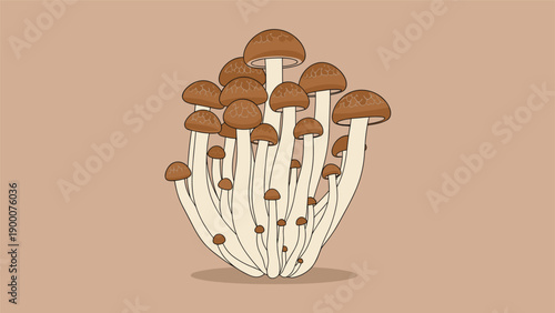 Large cluster of fresh brown shimeji mushrooms with long white stems and round caps suitable for gourmet cooking and healthy vegetable recipes.